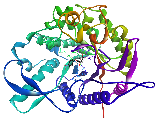 β-glucosidase B